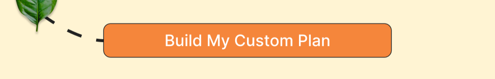 Build My Custom Plan
