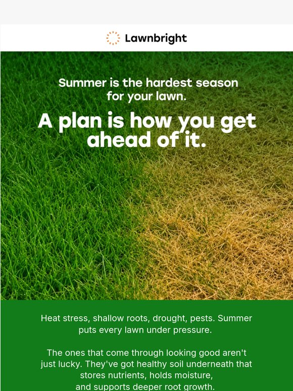 Your lawn isn't going to fix itself this summer. Here's where to start.