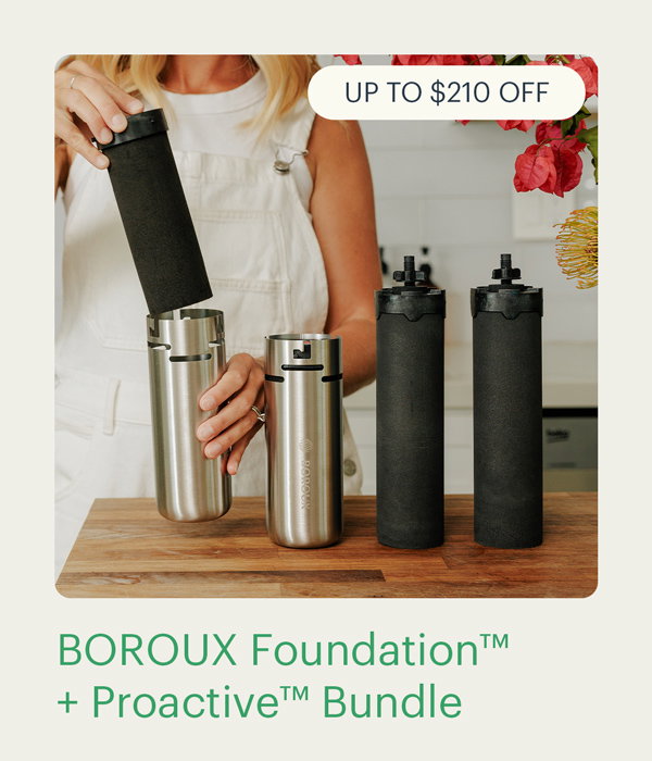 BOROUX Foundation™ + Proactive™ Bundle