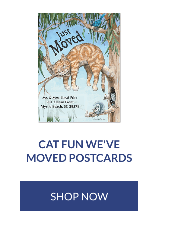 Cat Fun We've Moved Postcards [Click here to Shop Now]