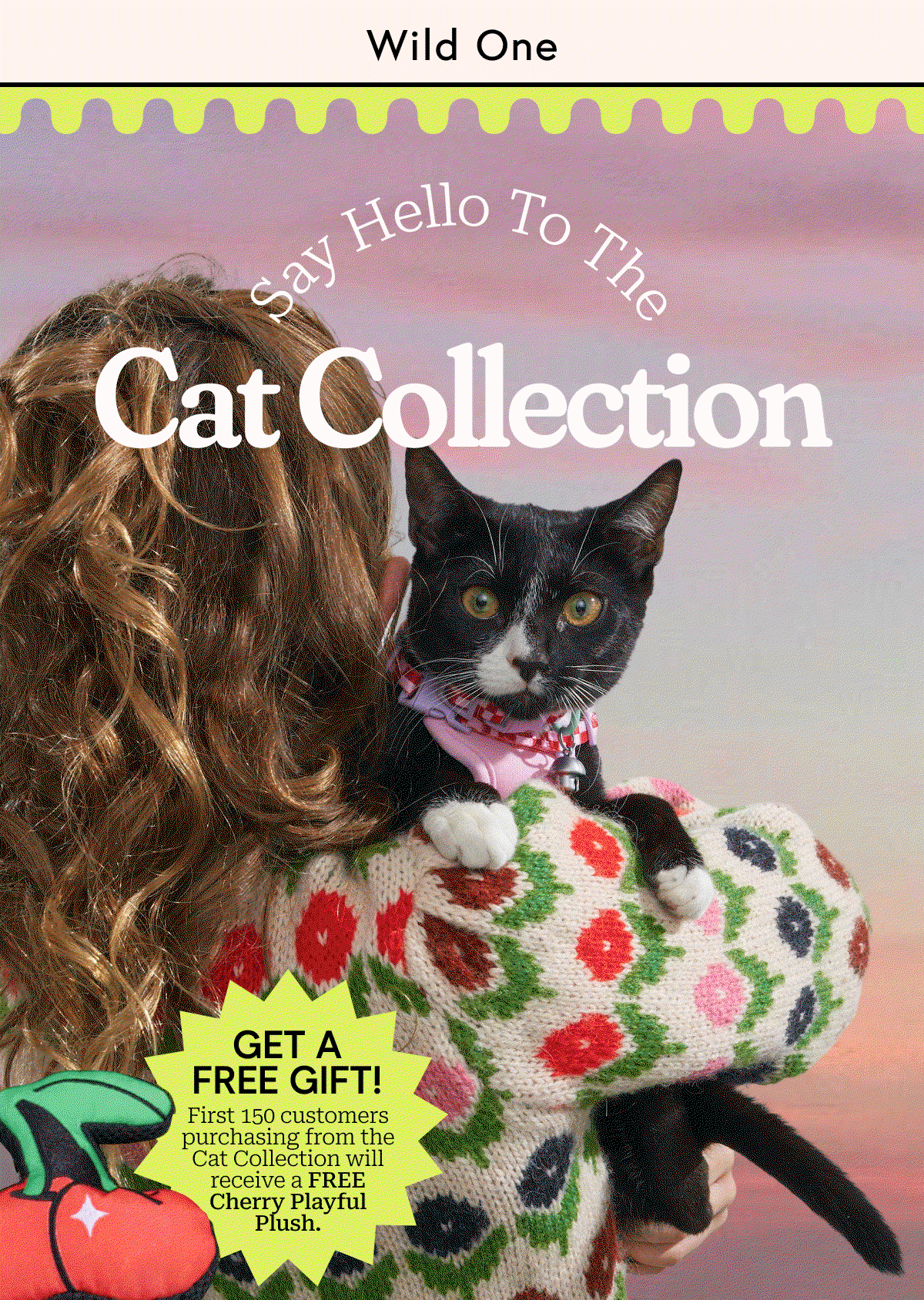 Say Hello To The Cat Collection 
