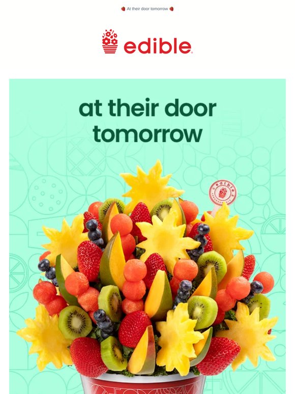 Fast & free delivery when it matters most.