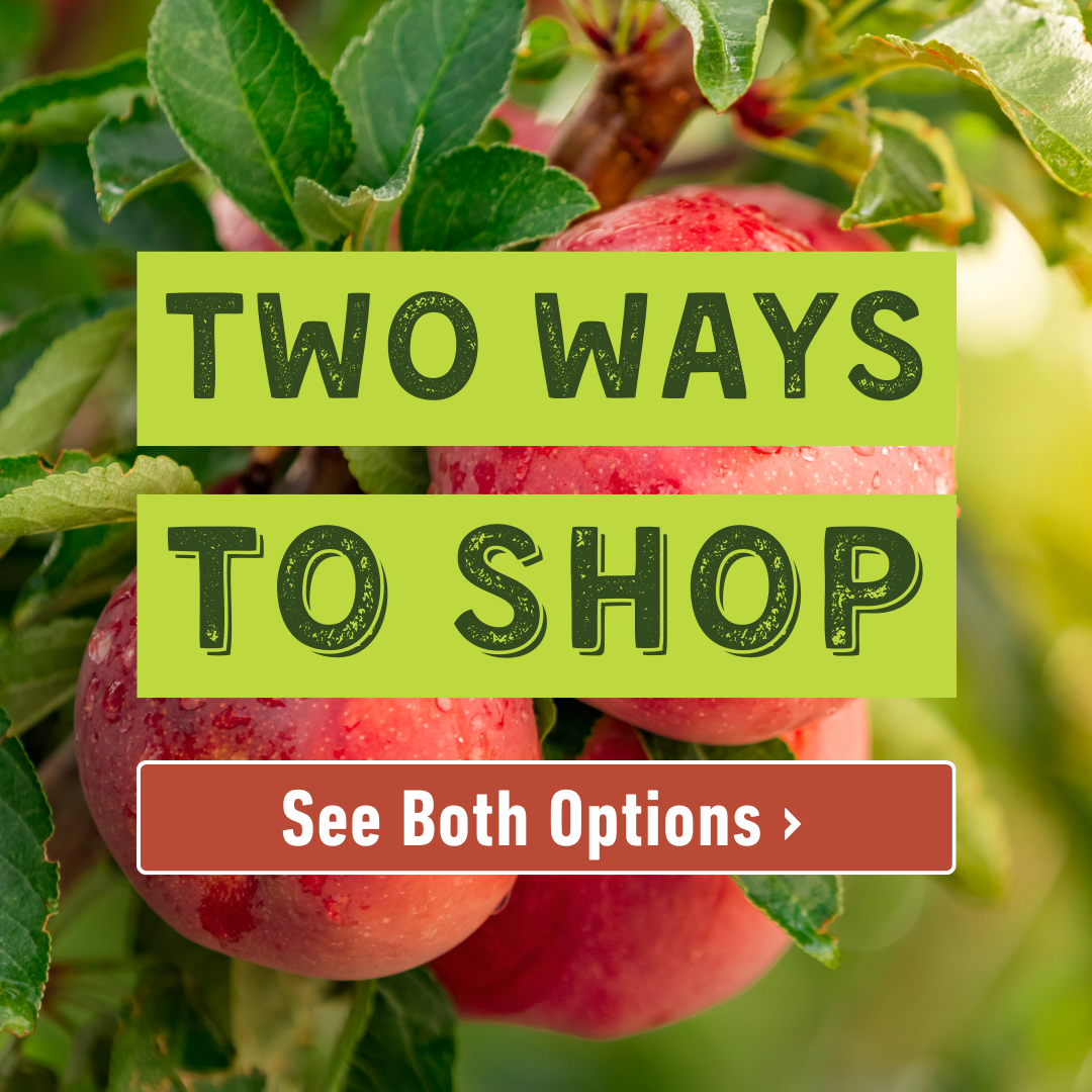 Two Ways to Shop
