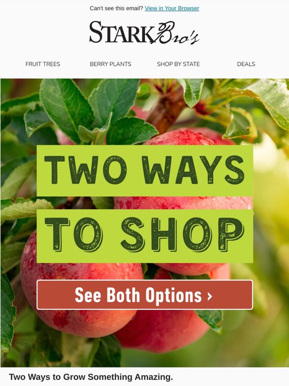 🪴 Two Ways to Shop