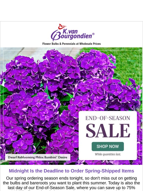 This Is It! Midnight Is the Deadline for Placing Spring Orders