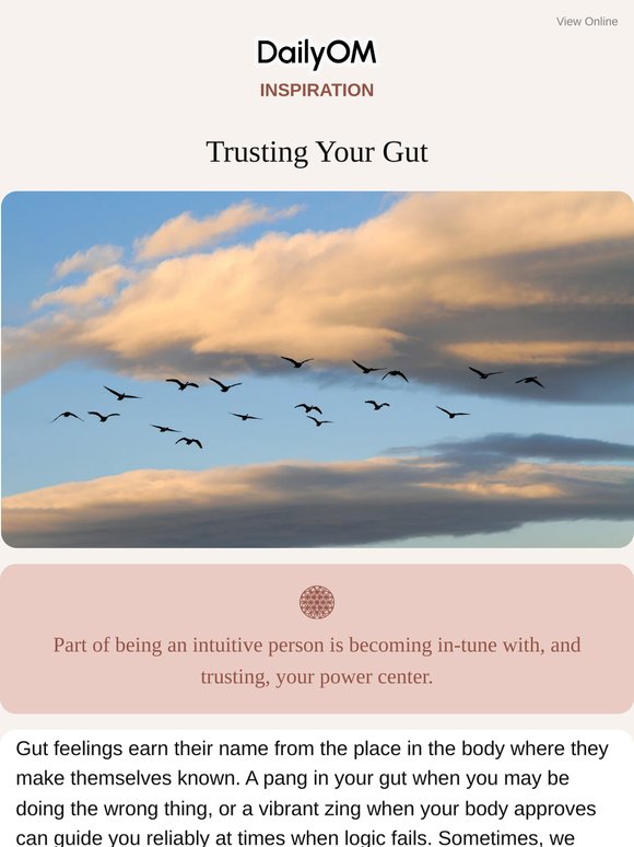 Trusting Your Gut