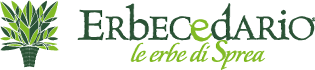 Erbecedario Srl Logo