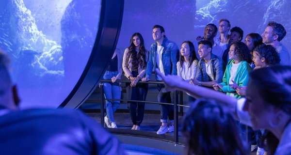 FlyOver Chicago Navy Pier Ticket Deals – Immersive Flight Experience