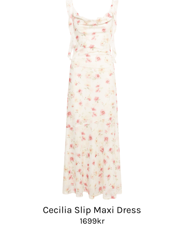 Image of Cecilia Slip Maxi Dress