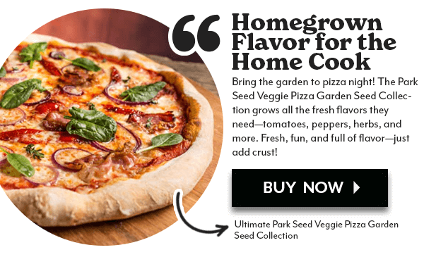 Ultimate Park Seed Veggie Pizza Garden Seed Bundle