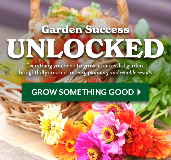 Garden Success Unlocked - SHOP SEED COLLECTIONS