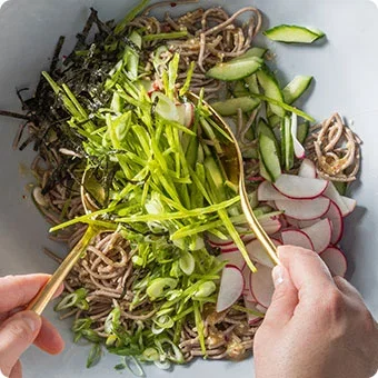 Chilled Soba Noodles with Cucumber, Snow Peas, and Radishes