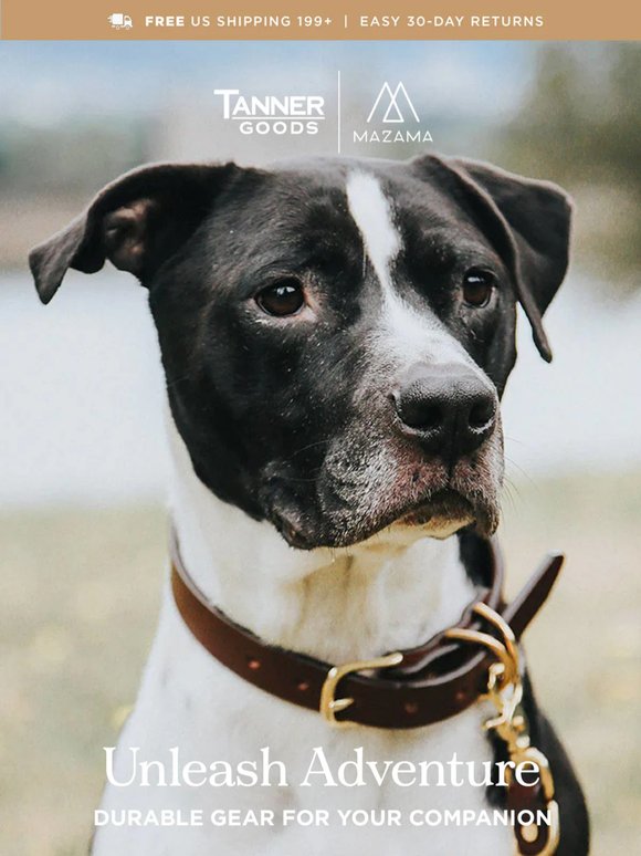 Durable Gear For Your Four Legged Companions
