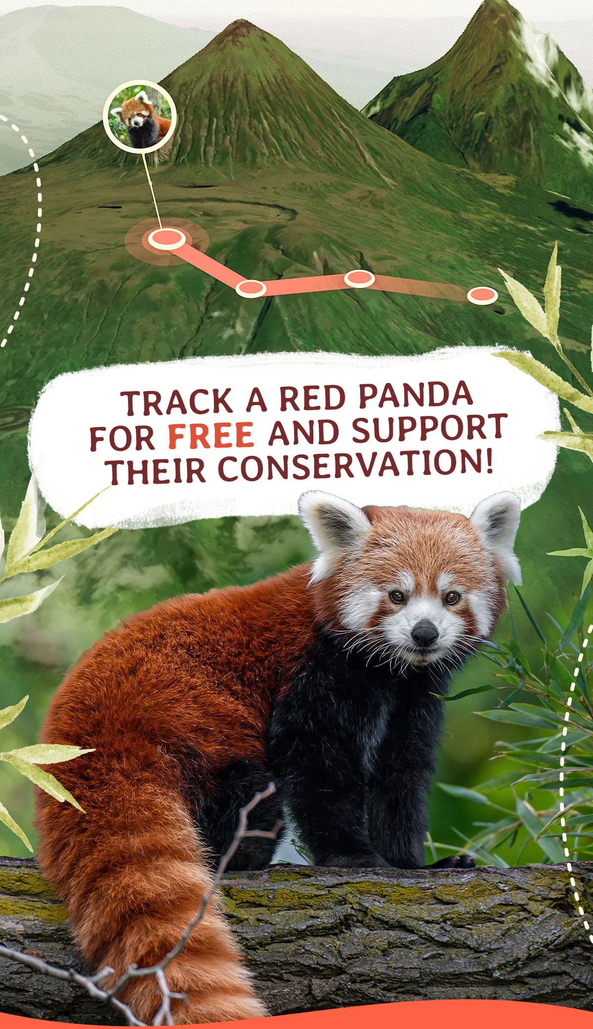 Claim your prize! Get a free red panda tracking bracelet. This offer is only for a limited time!