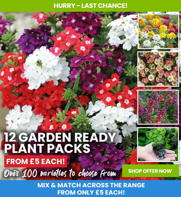Garden Ready Mix & Match