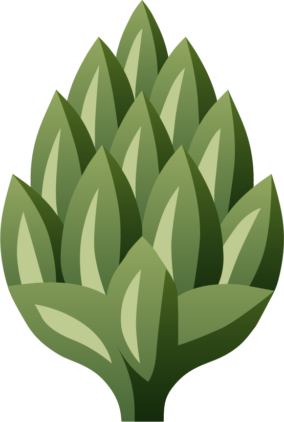 Hops Cone