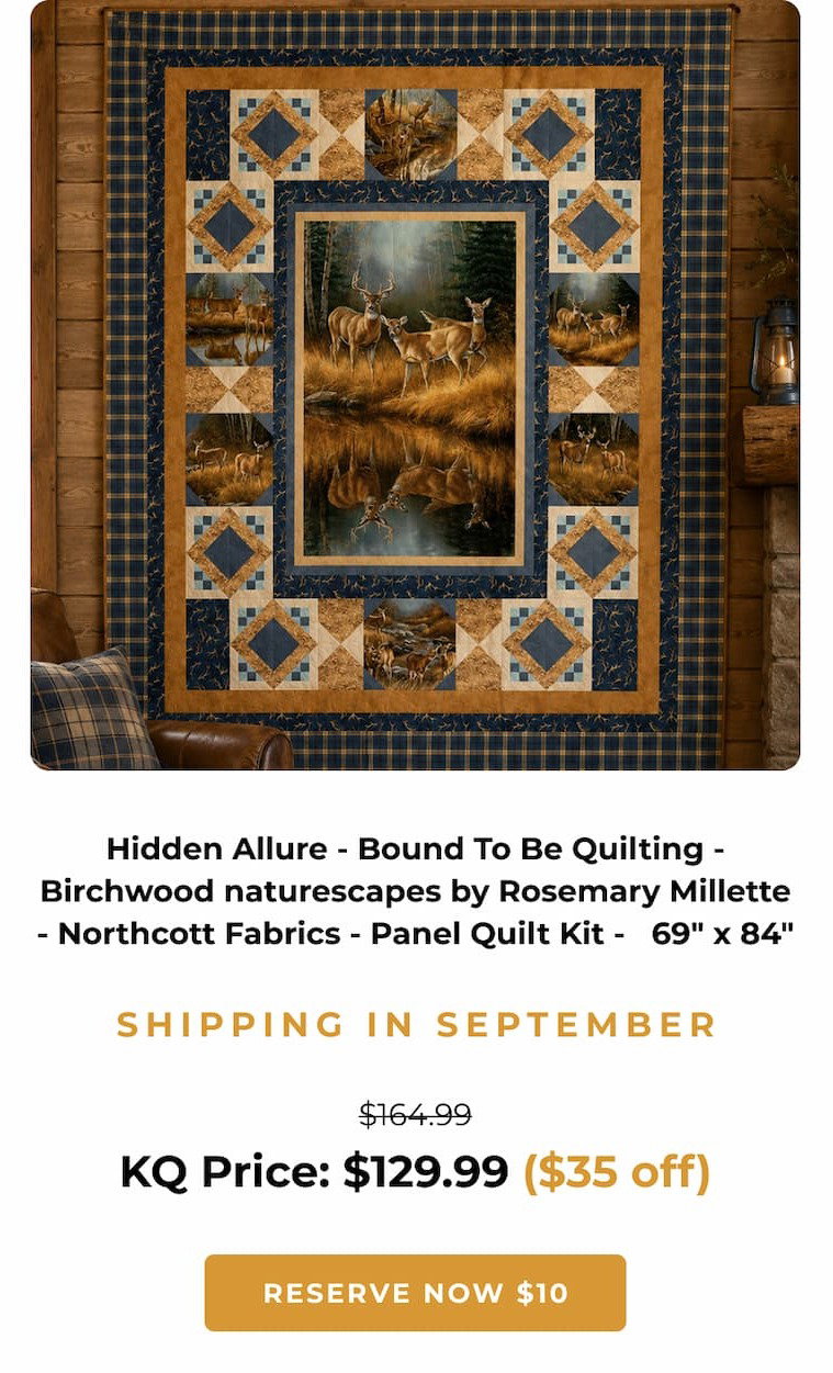 Hidden Allure Quilt Kit