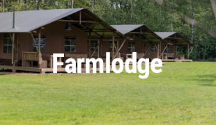 Vakantiepark Westerbergen