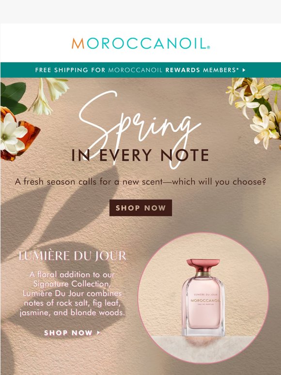 Find your perfect scent 🌷