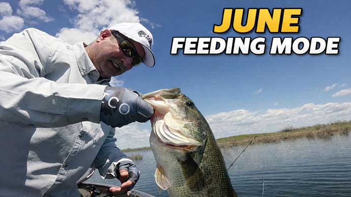 Bass Fishing Video