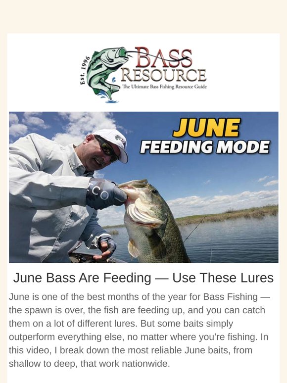 June Bass Fishing Edition