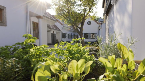 13256_genussamhof_hotel
