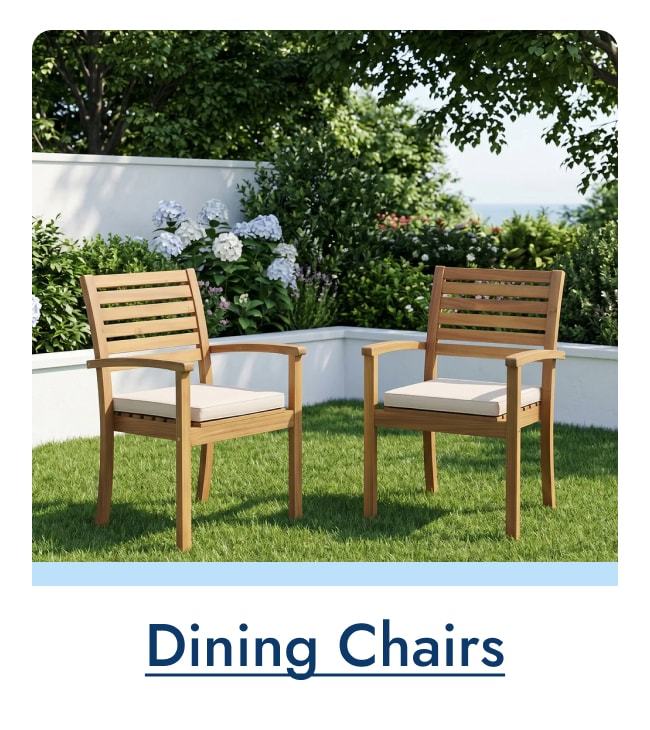 Dining Chairs