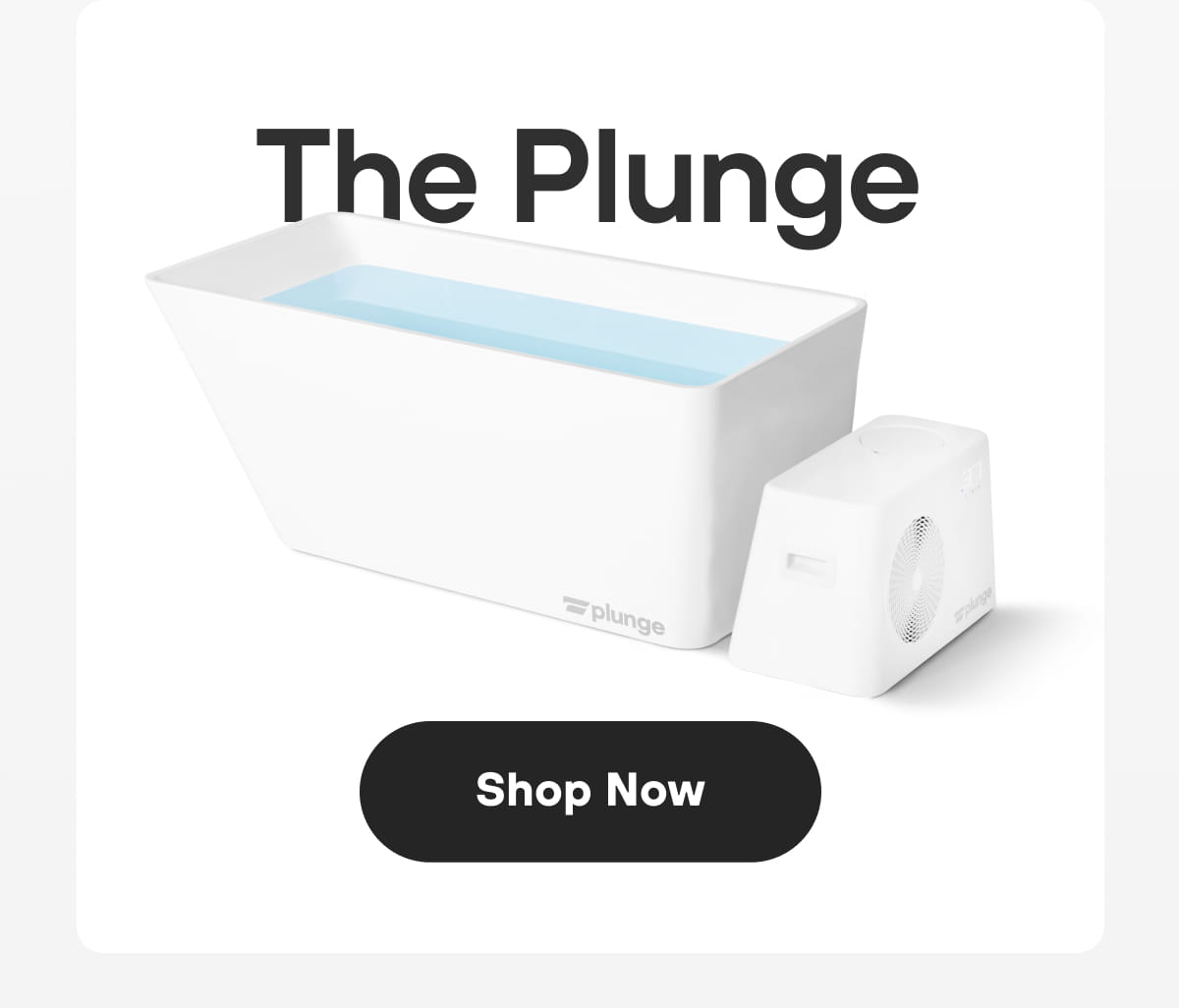 The Plunge | Shop Now