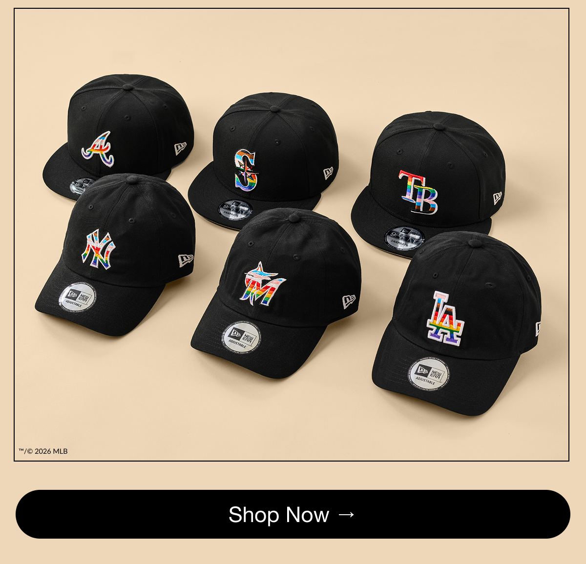 Shop Now 