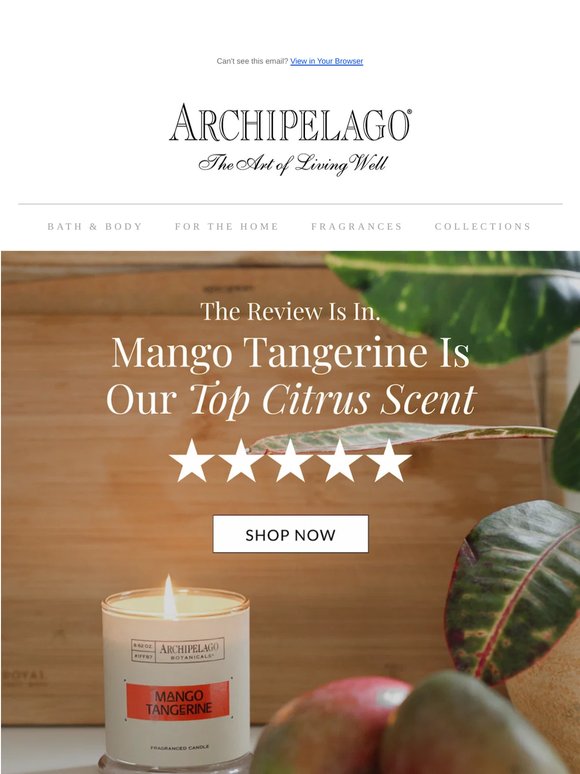 Why Everyone Loves Mango Tangerine