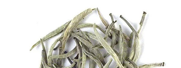 Ceylon Silver Tips White Tea