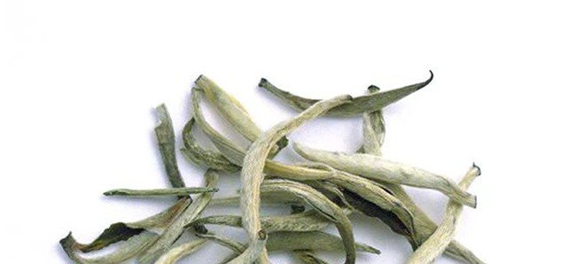 Yunnan Silver Needle