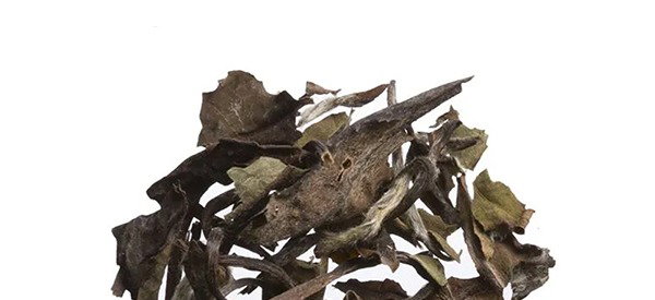 Special Grade Shou Mei White Tea