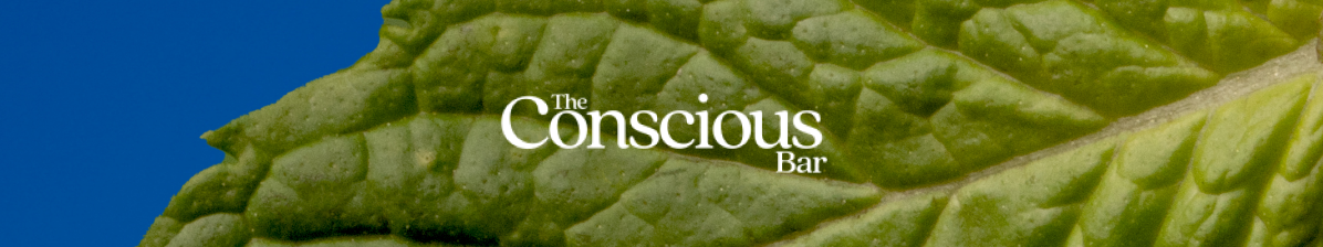 The Conscious Bar