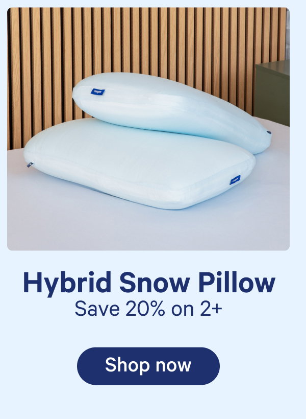 Hybrid snow pillow