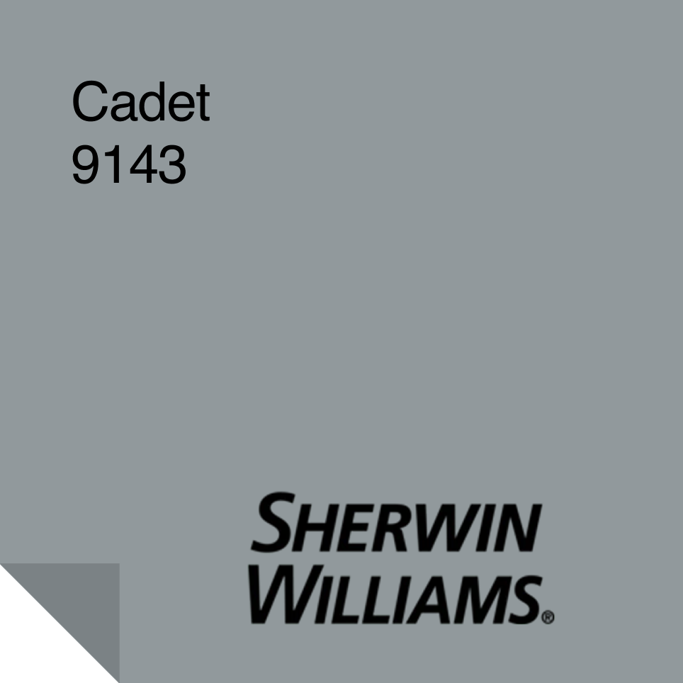 Cadet Paint Sample 9143