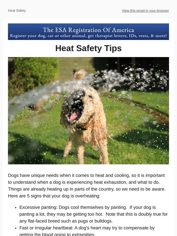 Top 5 Tips to Beat the Heat