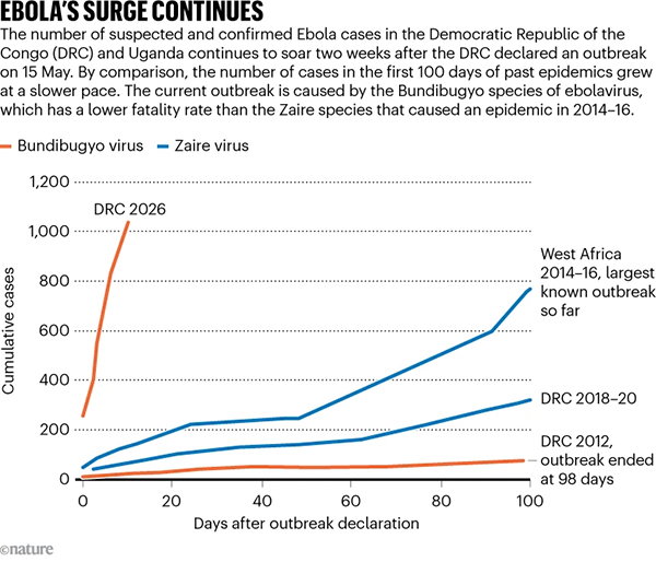 Graphic shows the cumulative cases of different Ebola outbreaks over their first 100 days. It highlights a particularly sharp rise in the current DRC outbreak caused by the Bundibugyo virus.