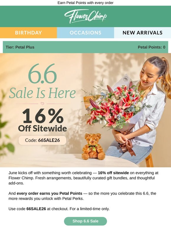 ✨ 6.6 Sale — 16% off sitewide!