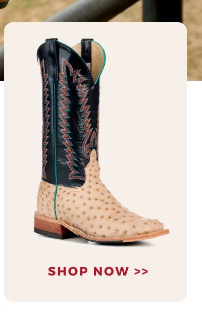 SHOP NOW >>