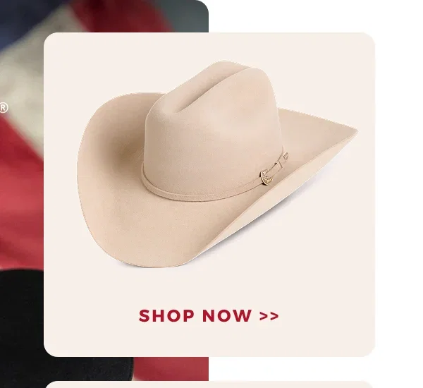 TEXTHERE