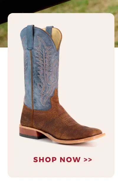 SHOP NOW >>