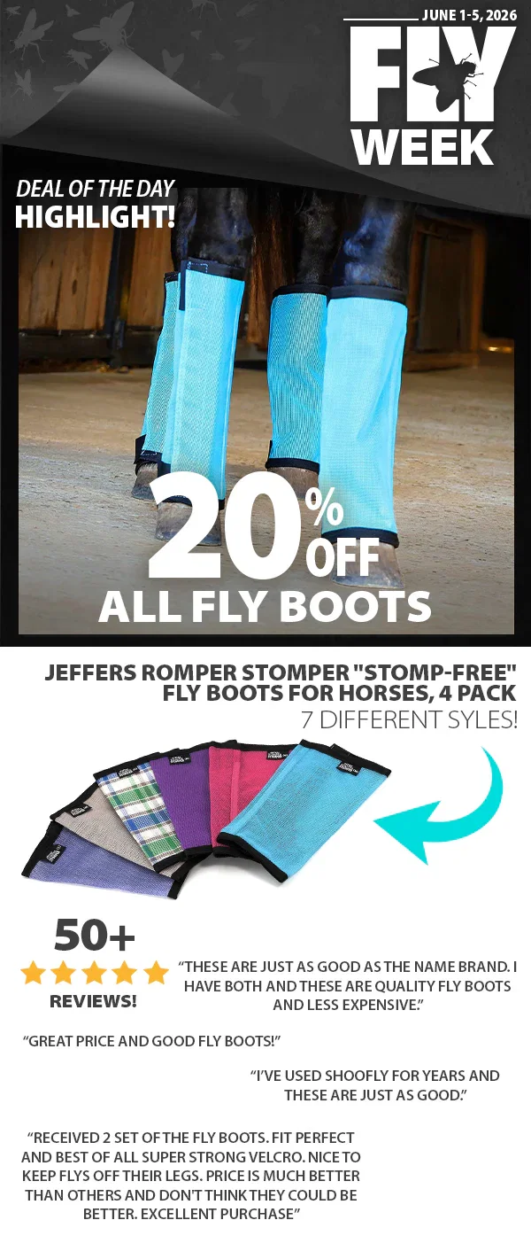 SHOP All Fly Week Promotions