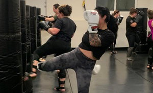 Unlimited Kickboxing Classes for One or Two in Person or Online