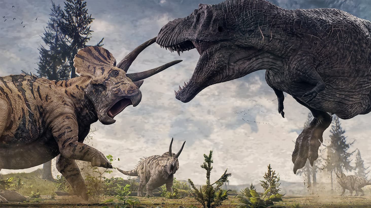 Hell Creek T. rex and Triceratops bundle display