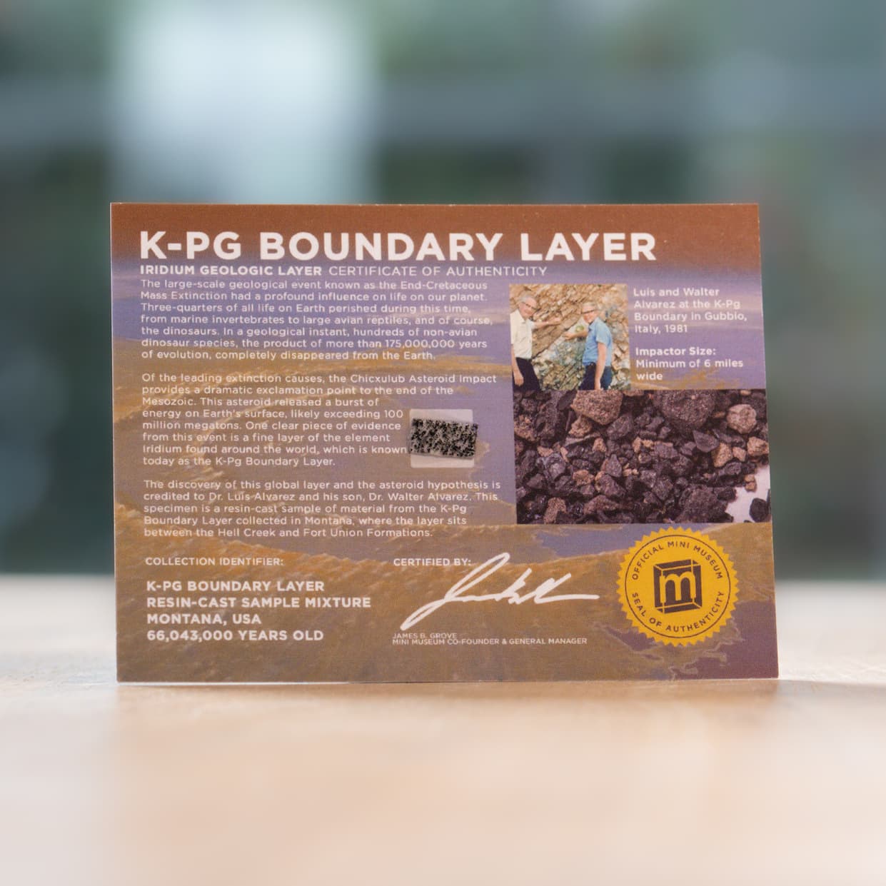 K-Pg Boundary Death of the Dinosaurs display card
