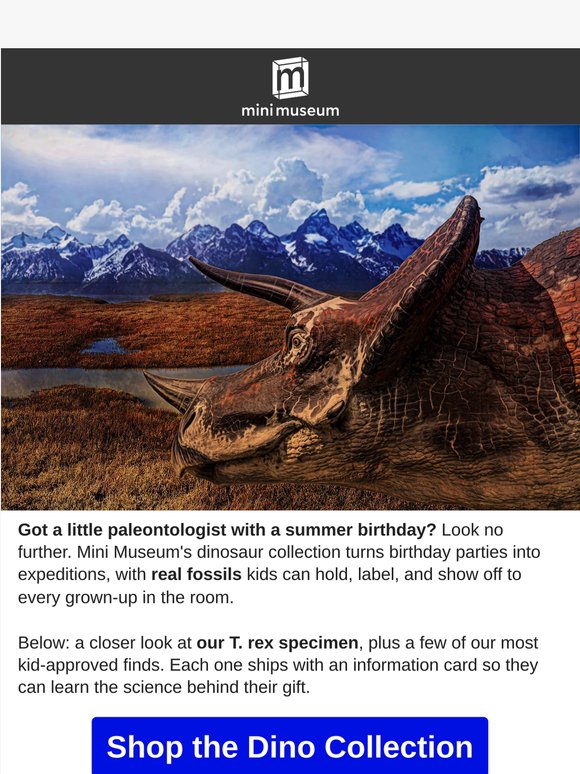 Get The Perfect Gift for your Paleontologist!