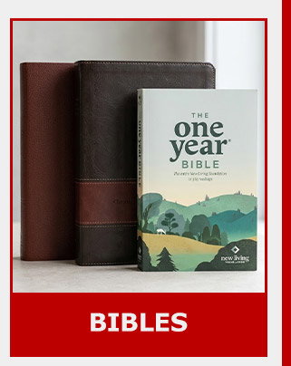 BIBLES