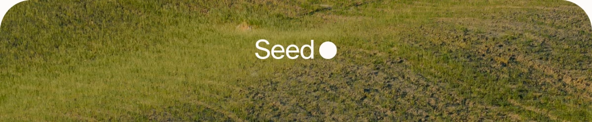 Seed