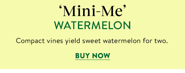 Mini Me, Watermelon